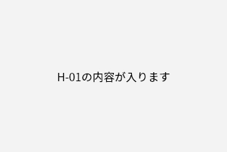 H-01の内容が入ります