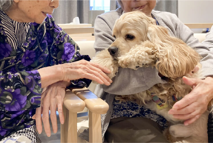 アニマルセラピー