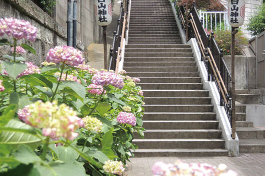 周辺環境 白山神社|アズハイム文京白山