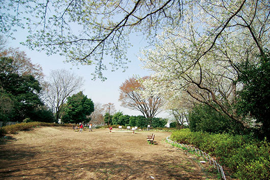 周辺環境 白幡公園|アズハイム横浜東寺尾