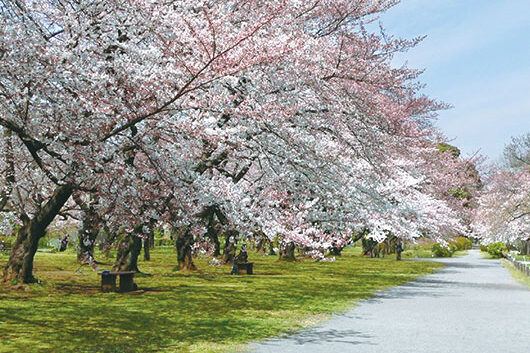 周辺環境 小石川植物園|アズハイム上福岡