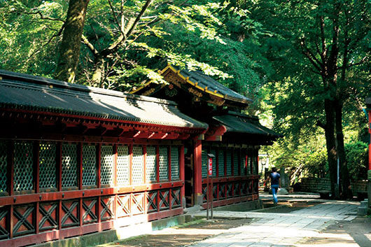 周辺環境 根津神社|アズハイム文京白山