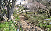 周辺環境 荒立公園|アズハイム横浜東寺尾