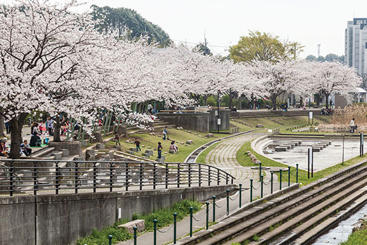 周辺環境 地蔵原の水辺|アズハイム横浜いずみ中央