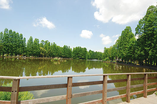 周辺環境 県立別所沼公園|アズハイム中浦和