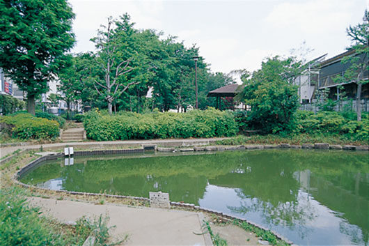 周辺環境 東大泉弁天池公園|アズハイム大泉学園