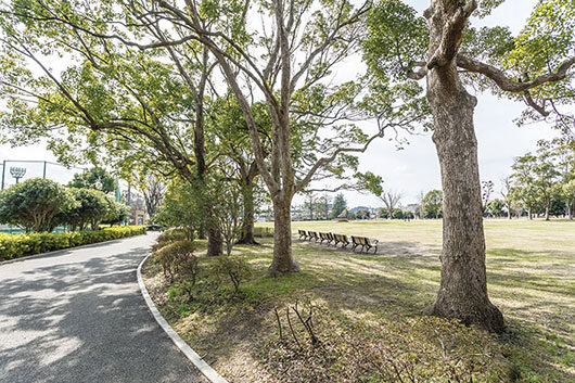 周辺環境 金井公園|アズハイム横浜戸塚