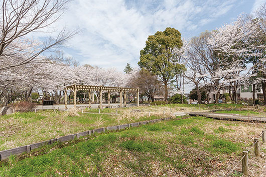 周辺環境 泉中央公園|アズハイム横浜いずみ中央（デイサービスセンター）