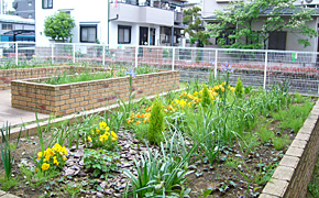 花壇|アズハイム大泉学園