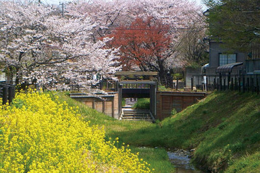 周辺環境 見沼通船堀公園|アズハイム東浦和