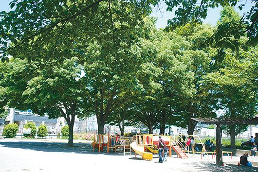 周辺環境 水深公園|アズハイム南浦和