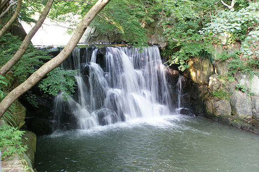 周辺環境 まさかりが淵市民の森|アズハイム横浜戸塚