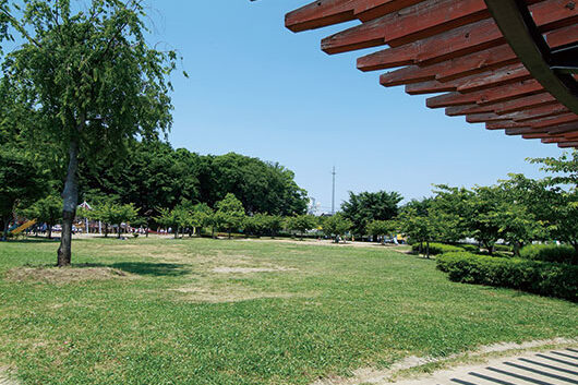 周辺環境 井沼方公園|アズハイム東浦和