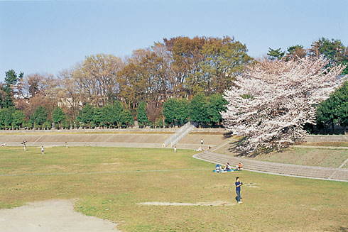 周辺環境 びくに公園|アズハイム大泉学園