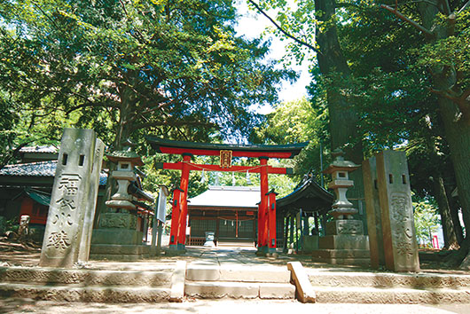 周辺環境 氷川神社|アズハイム南浦和