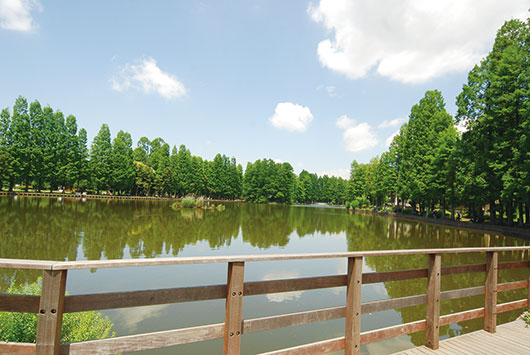 周辺環境 県立別所沼公園|アズハイム中浦和（デイサービスセンター）