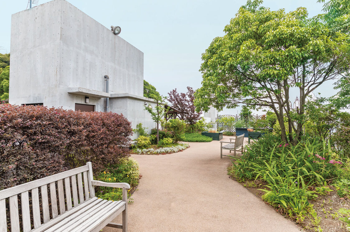 屋上庭園|アズハイム市川