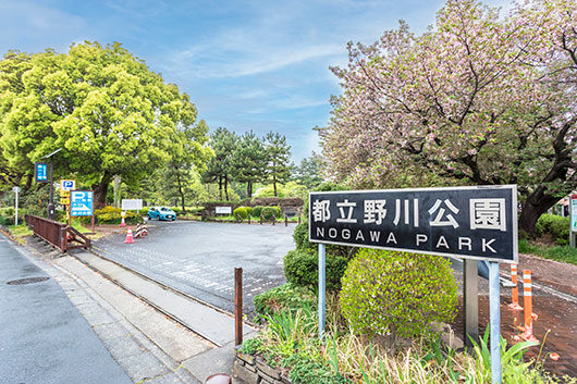 周辺環境 野川公園|アズハイム三鷹