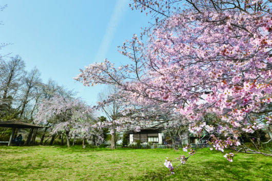 設備・周辺環境|アズハイム習志野