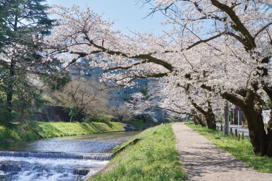 設備・周辺環境|アズハイム入間