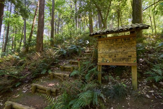 設備・周辺環境|アズハイム所沢