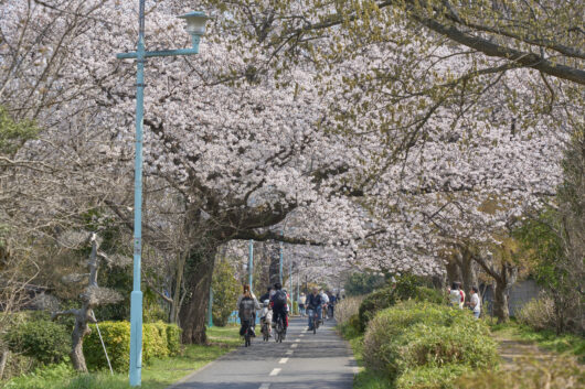 設備・周辺環境|アズハイム小平
