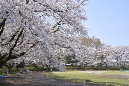 設備・周辺環境|アズハイム小平